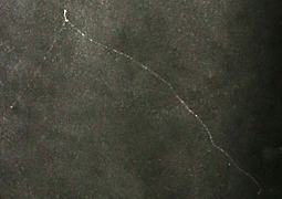 ** PLEASE DESCRIBE THIS IMAGE **