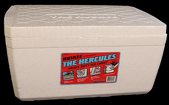 ** PLEASE DESCRIBE THIS IMAGE **