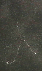 ** PLEASE DESCRIBE THIS IMAGE **