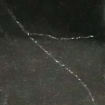 ** PLEASE DESCRIBE THIS IMAGE **