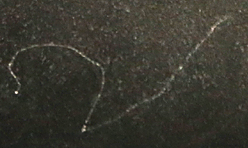 ** PLEASE DESCRIBE THIS IMAGE **