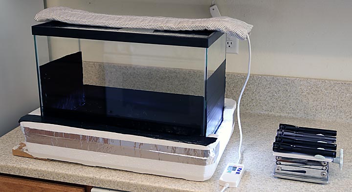 ** PLEASE DESCRIBE THIS IMAGE **