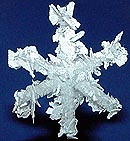 ** PLEASE DESCRIBE THIS IMAGE **