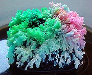 ** PLEASE DESCRIBE THIS IMAGE **