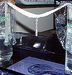 ** PLEASE DESCRIBE THIS IMAGE **