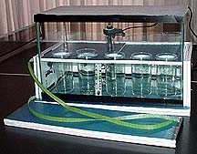 ** PLEASE DESCRIBE THIS IMAGE **