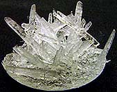 ** PLEASE DESCRIBE THIS IMAGE **