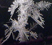 ** PLEASE DESCRIBE THIS IMAGE **