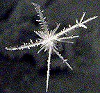 ** PLEASE DESCRIBE THIS IMAGE **