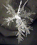 ** PLEASE DESCRIBE THIS IMAGE **