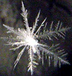 ** PLEASE DESCRIBE THIS IMAGE **