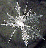 ** PLEASE DESCRIBE THIS IMAGE **