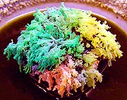 ** PLEASE DESCRIBE THIS IMAGE **