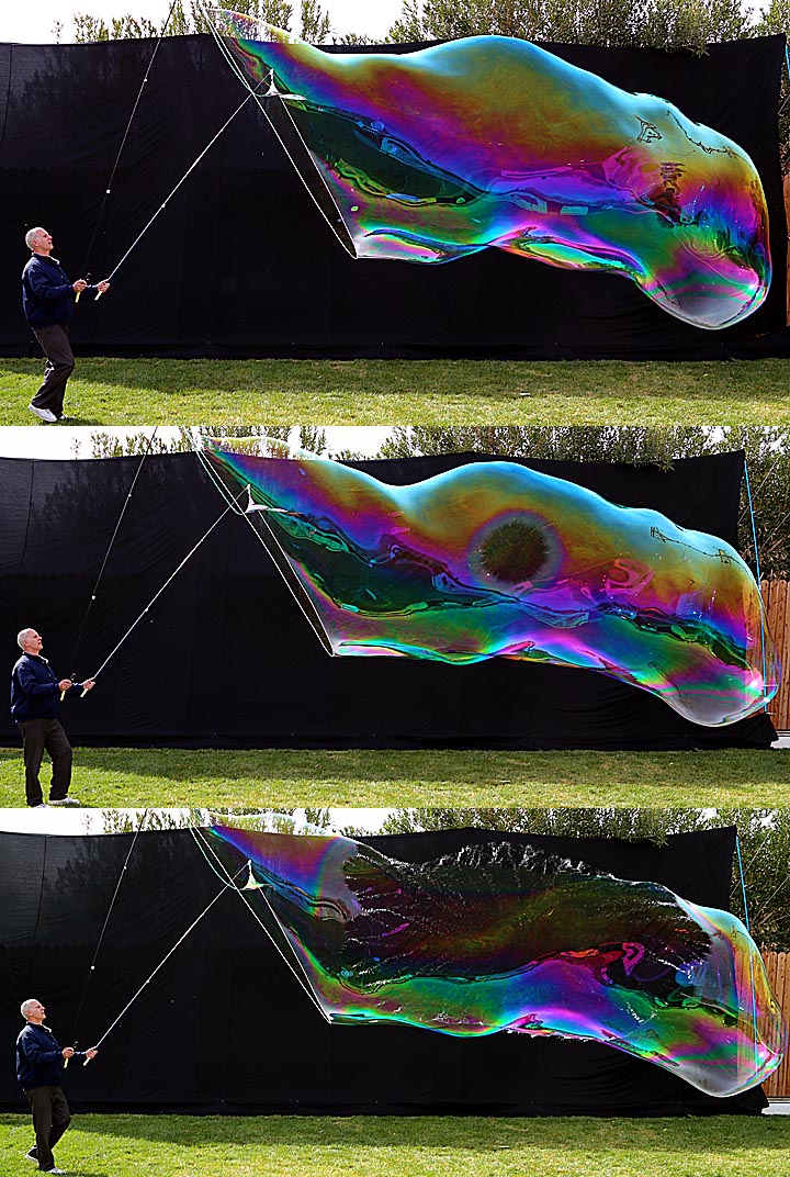 ** PLEASE DESCRIBE THIS IMAGE **