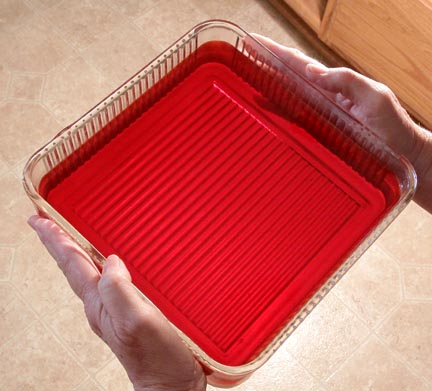 ** PLEASE DESCRIBE THIS IMAGE **